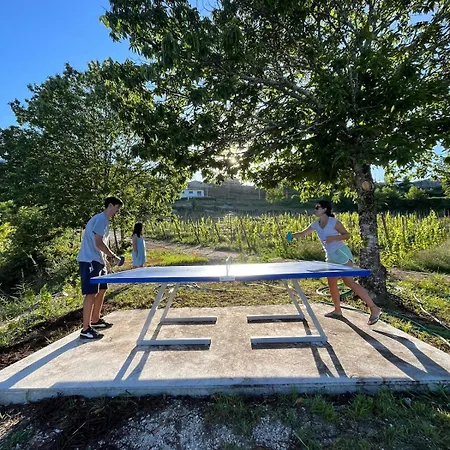 Seara - Casas Da Vinha Pensionat