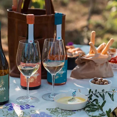بيت ضيافة Seara - Casas Da Vinha