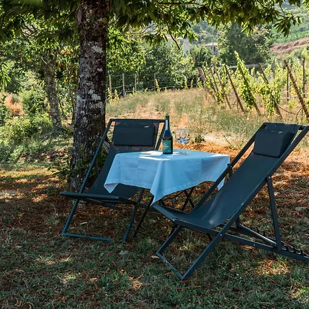 Seara - Casas Da Vinha 3* Celorico De Basto