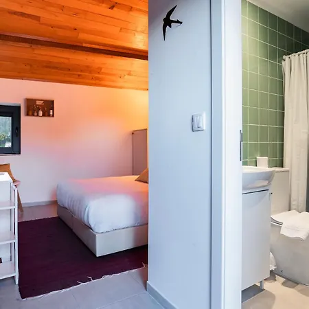 Seara - Casas Da Vinha بيت ضيافة سيلوريكو دي باستو