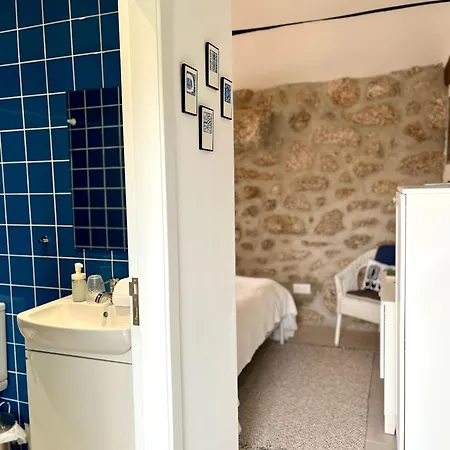 Seara - Casas Da Vinha بيت ضيافة سيلوريكو دي باستو