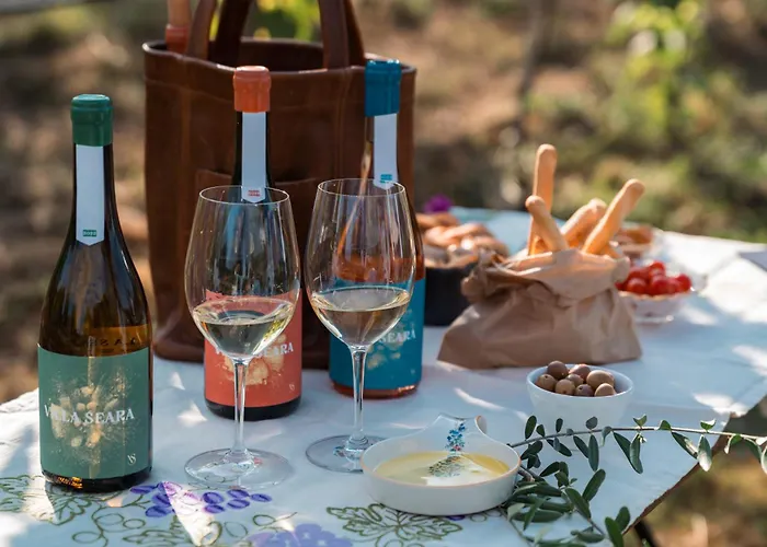 Guest house Seara - Casas Da Vinha