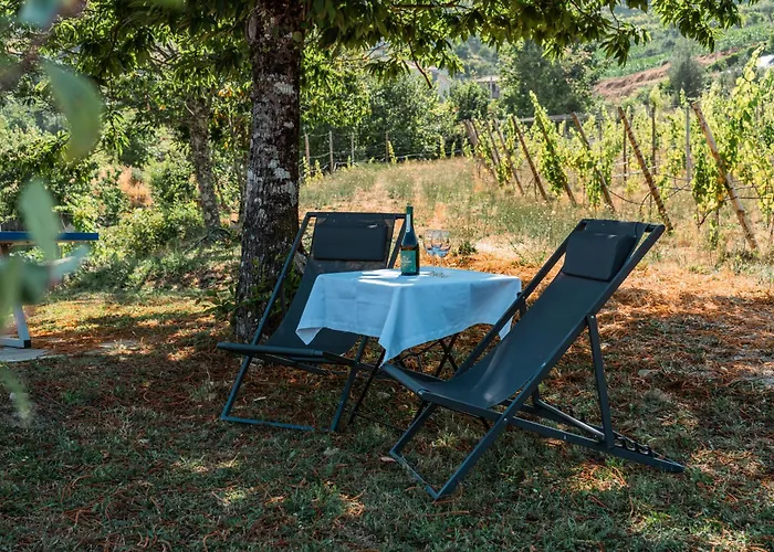 Seara - Casas Da Vinha 3* Celorico De Basto